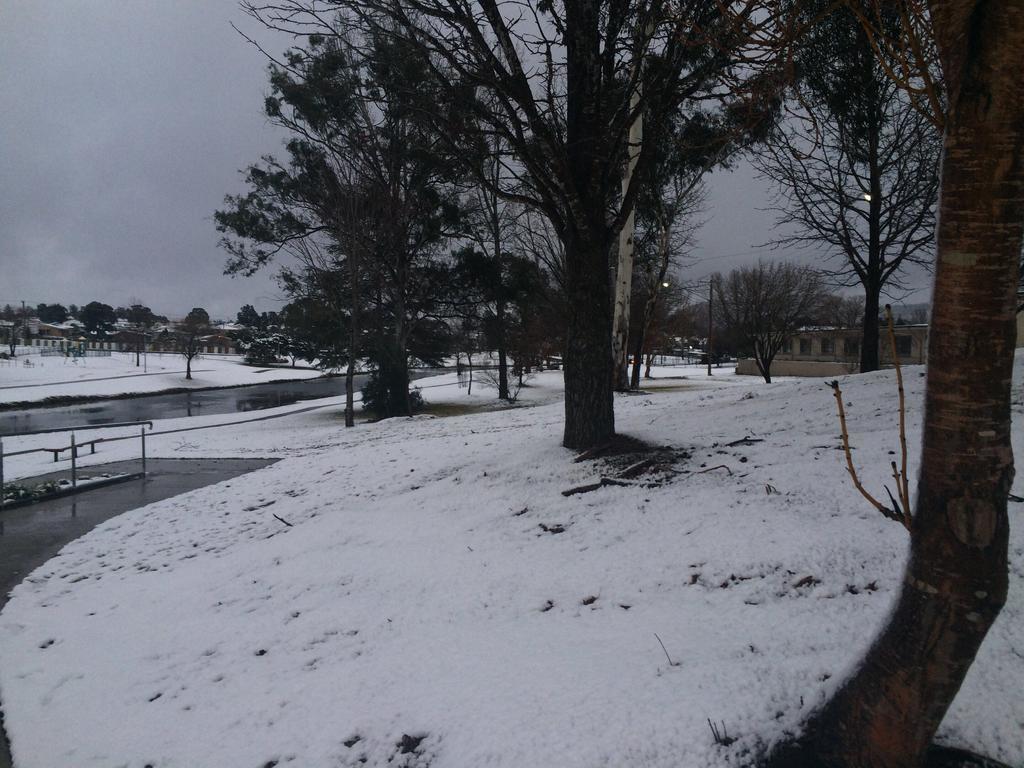 Boulevard Motel Stanthorpe Εξωτερικό φωτογραφία